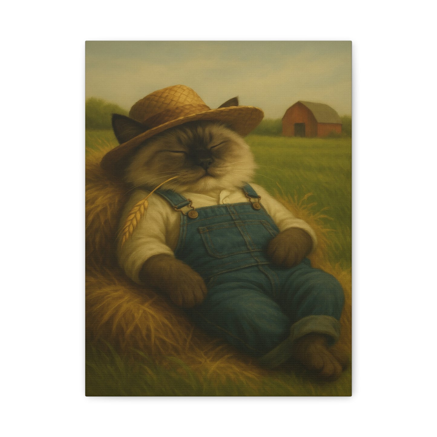 Vintage Ragdoll Cat Canvas Print - The Cat Nap