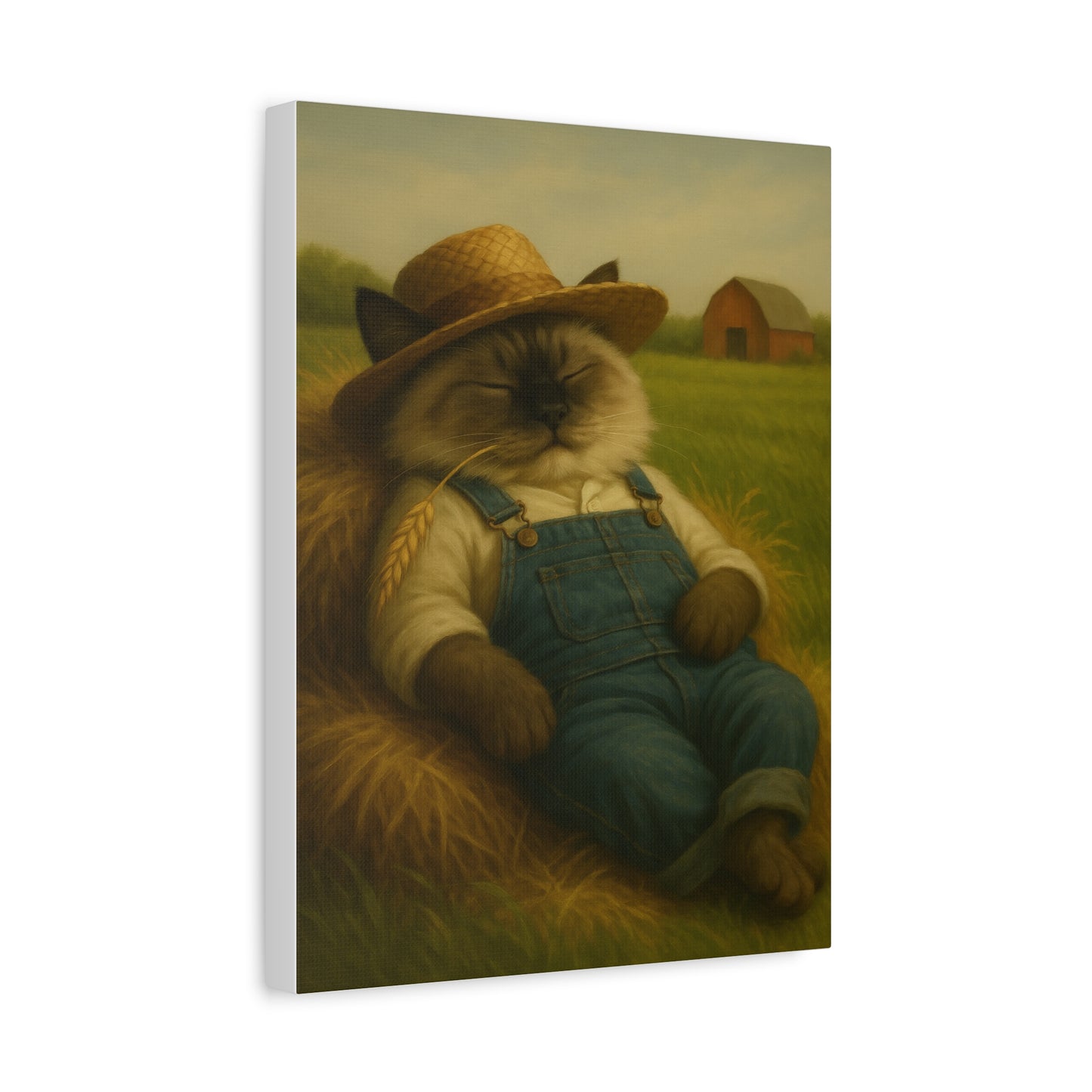 Vintage Ragdoll Cat Canvas Print - The Cat Nap