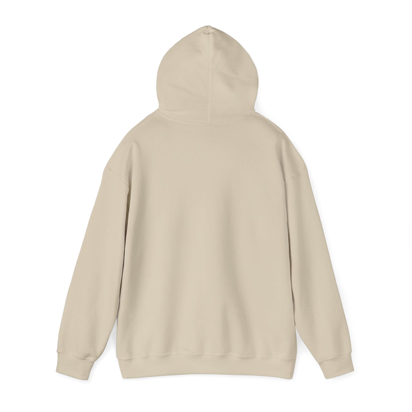 Haystack & Whiskers Unisex Hoodie - Cozy Casual Wear for Animal Lovers - Vintage Ragdoll Cat Apparel
