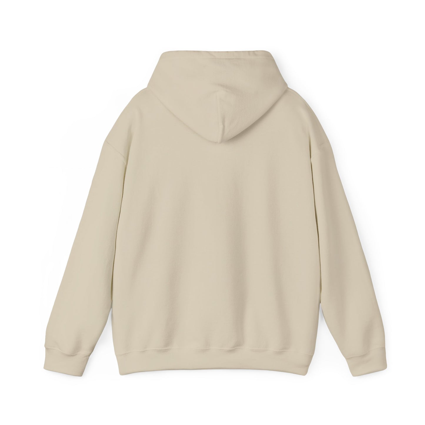 Haystack & Whiskers Unisex Hoodie - Cozy Casual Wear for Animal Lovers - Vintage Ragdoll Cat Apparel