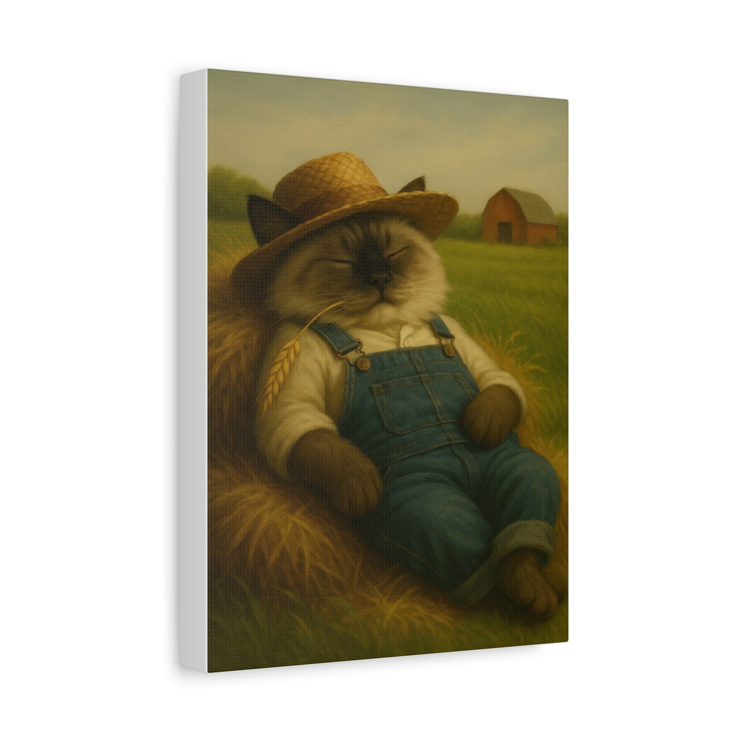 Vintage Ragdoll Cat Canvas Print - The Cat Nap