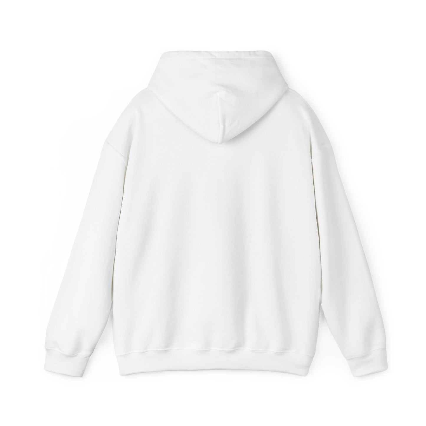 Haystack & Whiskers Unisex Hoodie - Cozy Casual Wear for Animal Lovers - Vintage Ragdoll Cat Apparel